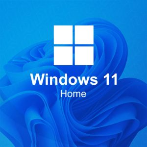 windows 11 home