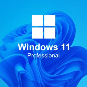 Windows 11 Pro