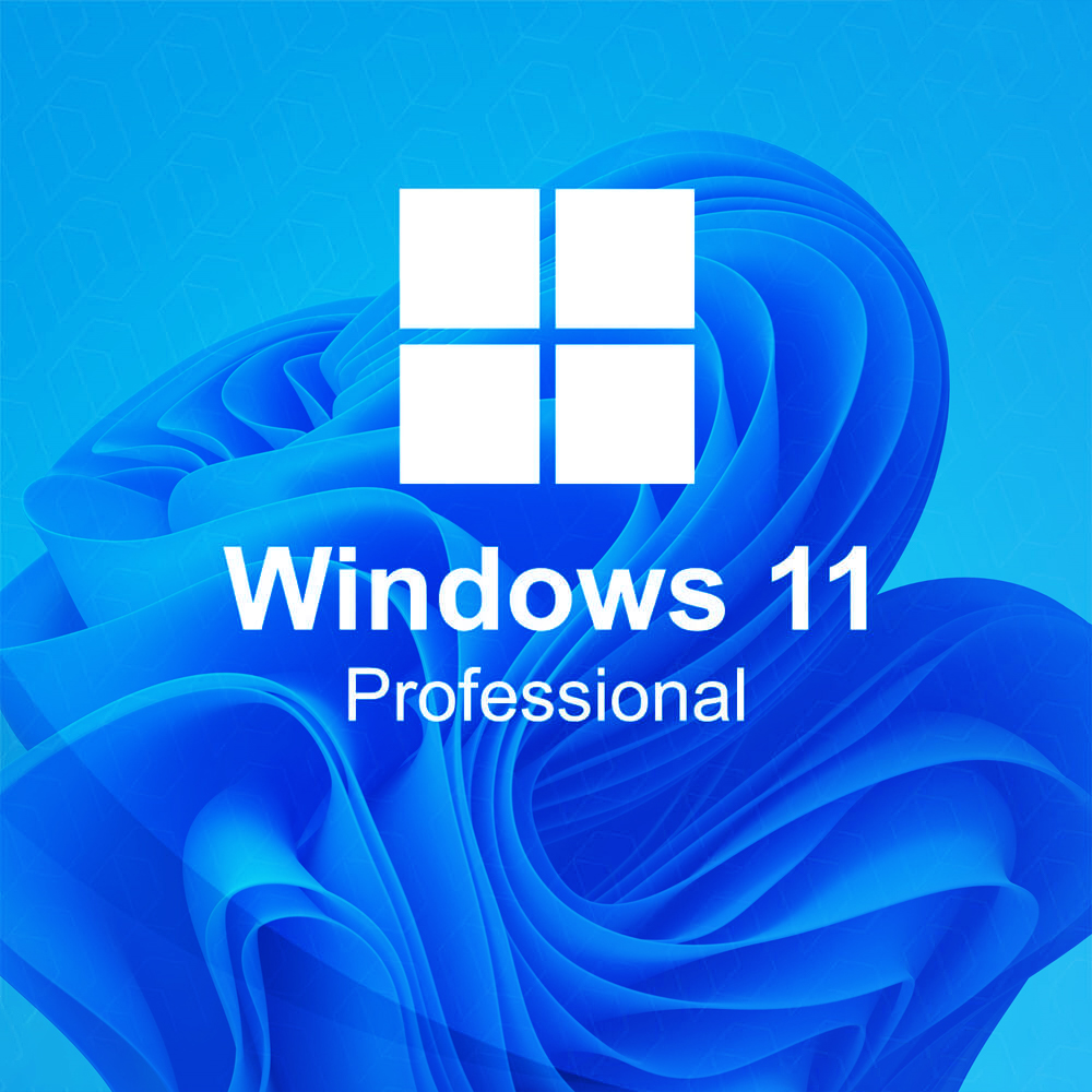 Windows 11 Pro
