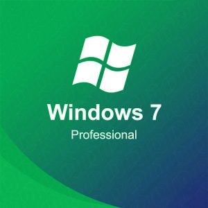 Windows 7 Professional